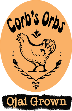 corbs-logo-2026